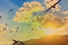 西甲焦点战：毕尔巴鄂竞技对阵赫罗纳，状态分析及快速反击对决